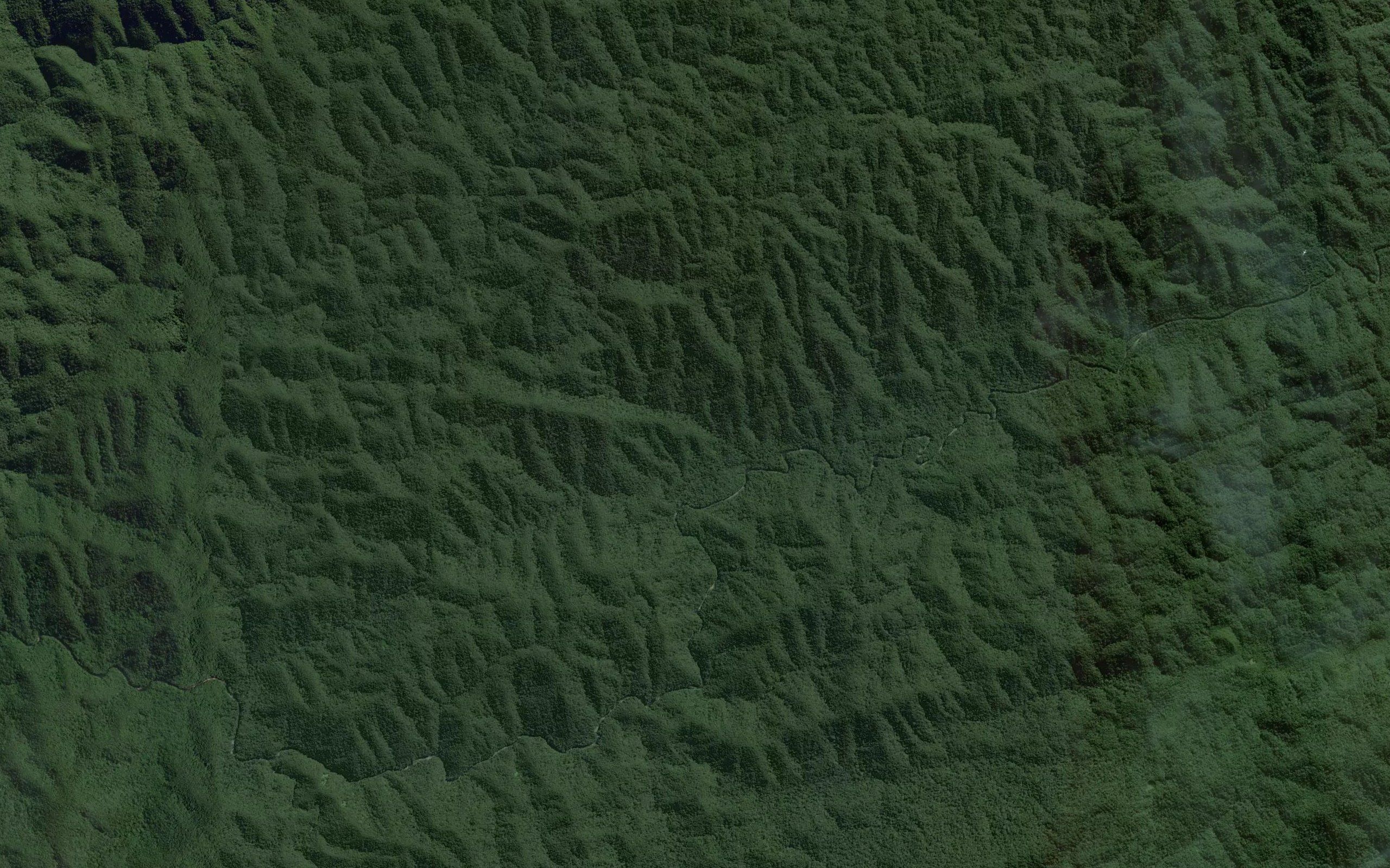 Rio do Roque