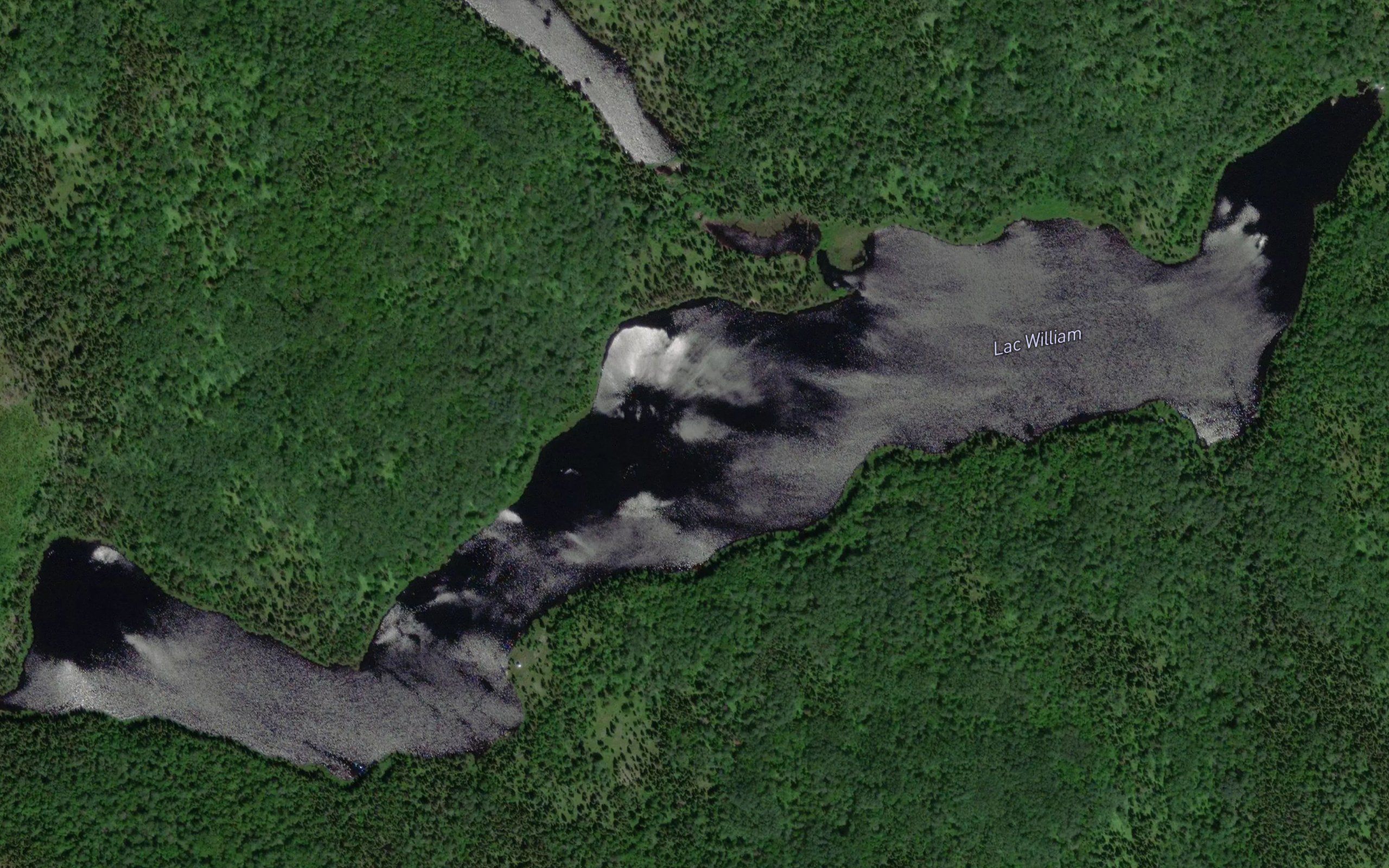Lac William