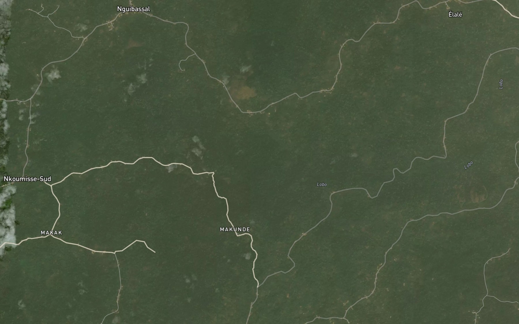 Satellite map of the Elale
