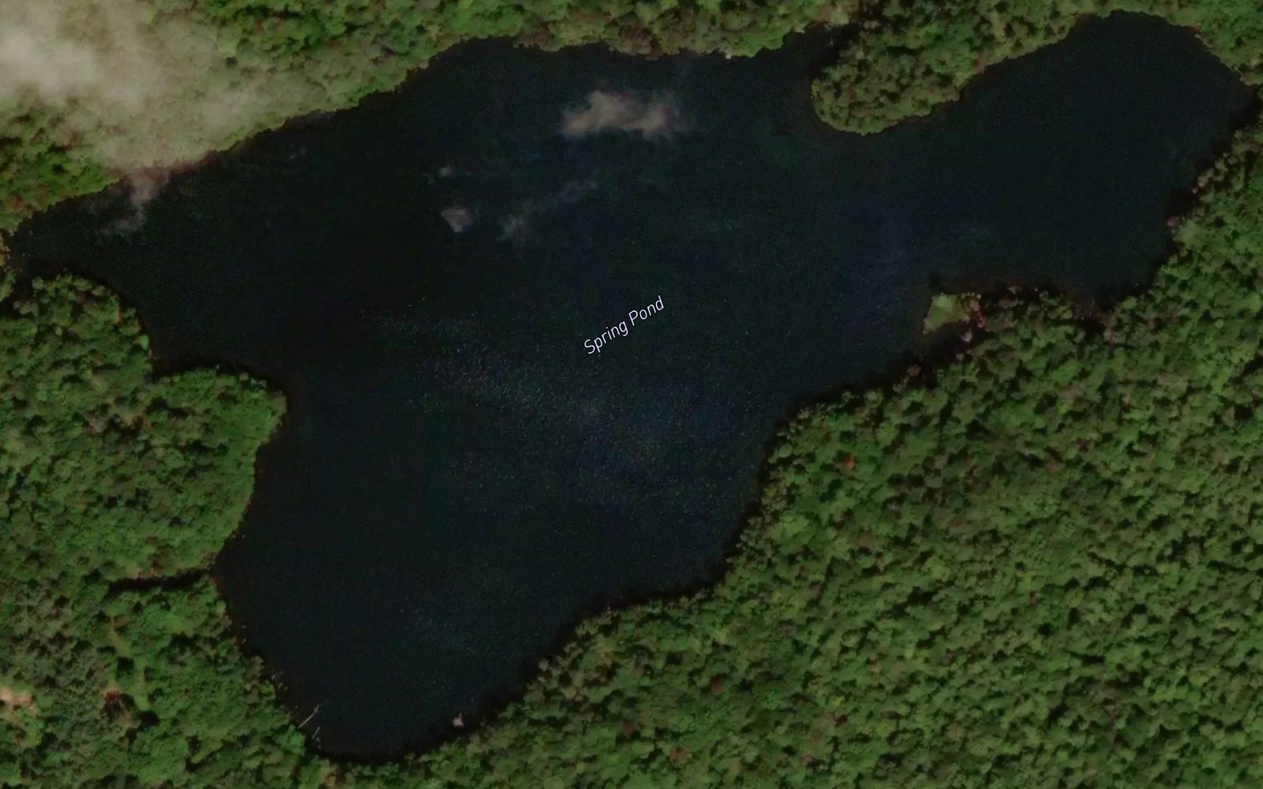 Spring Pond