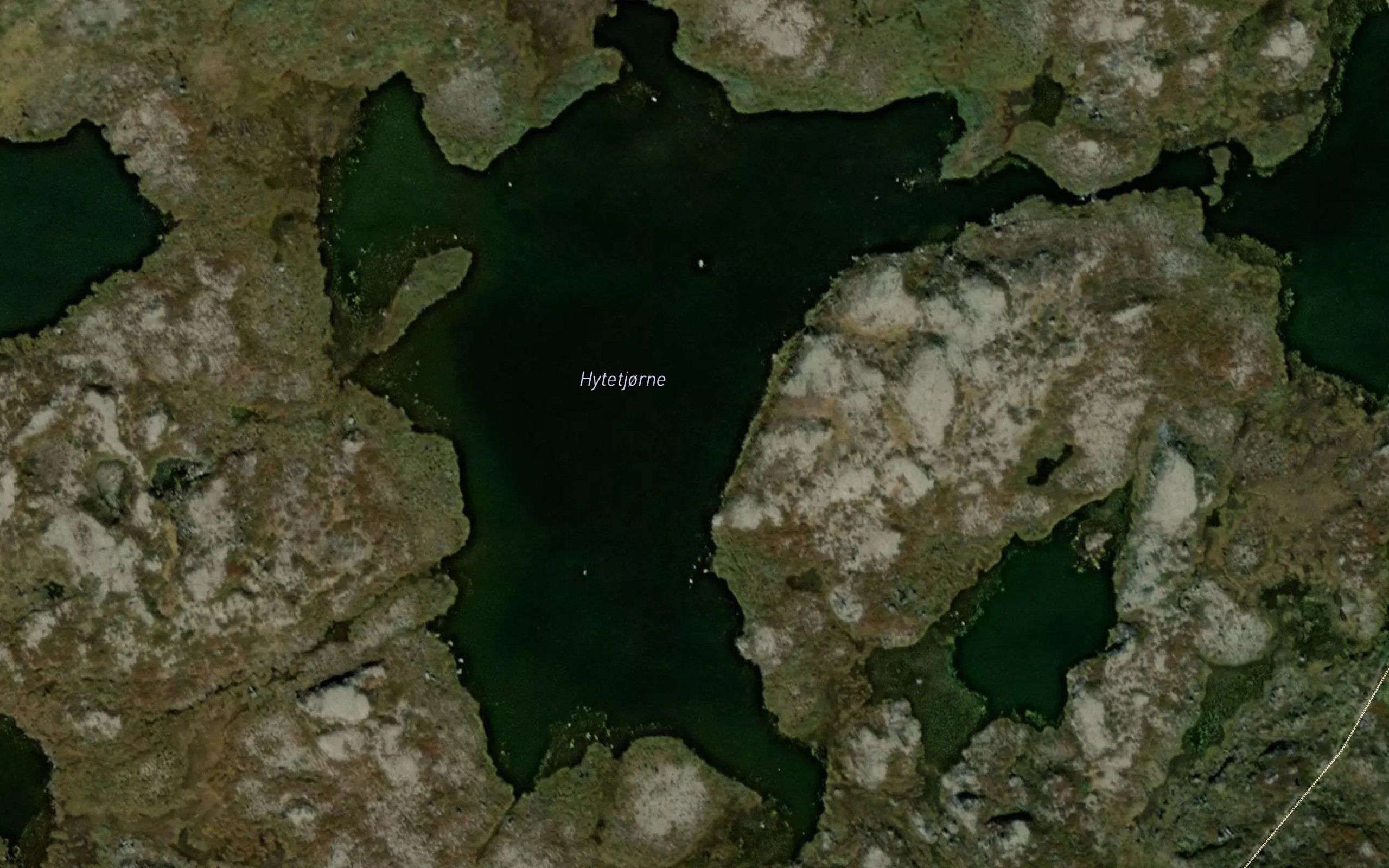 Hytetjorne