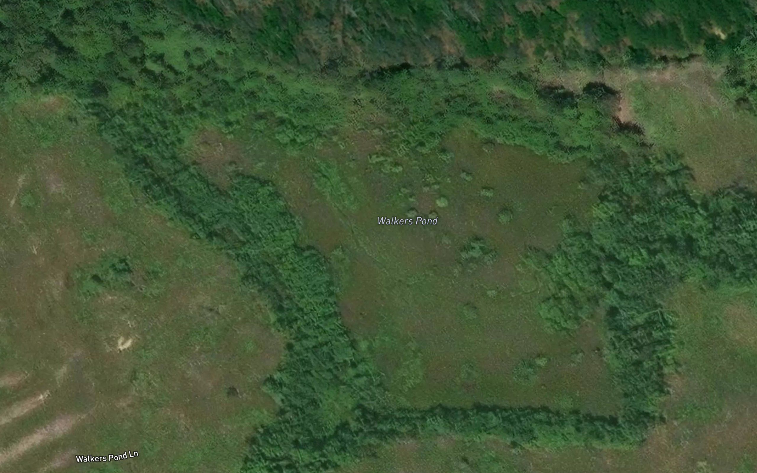 Walkers Pond