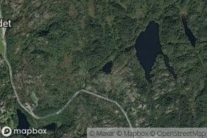 Revurdtjorna