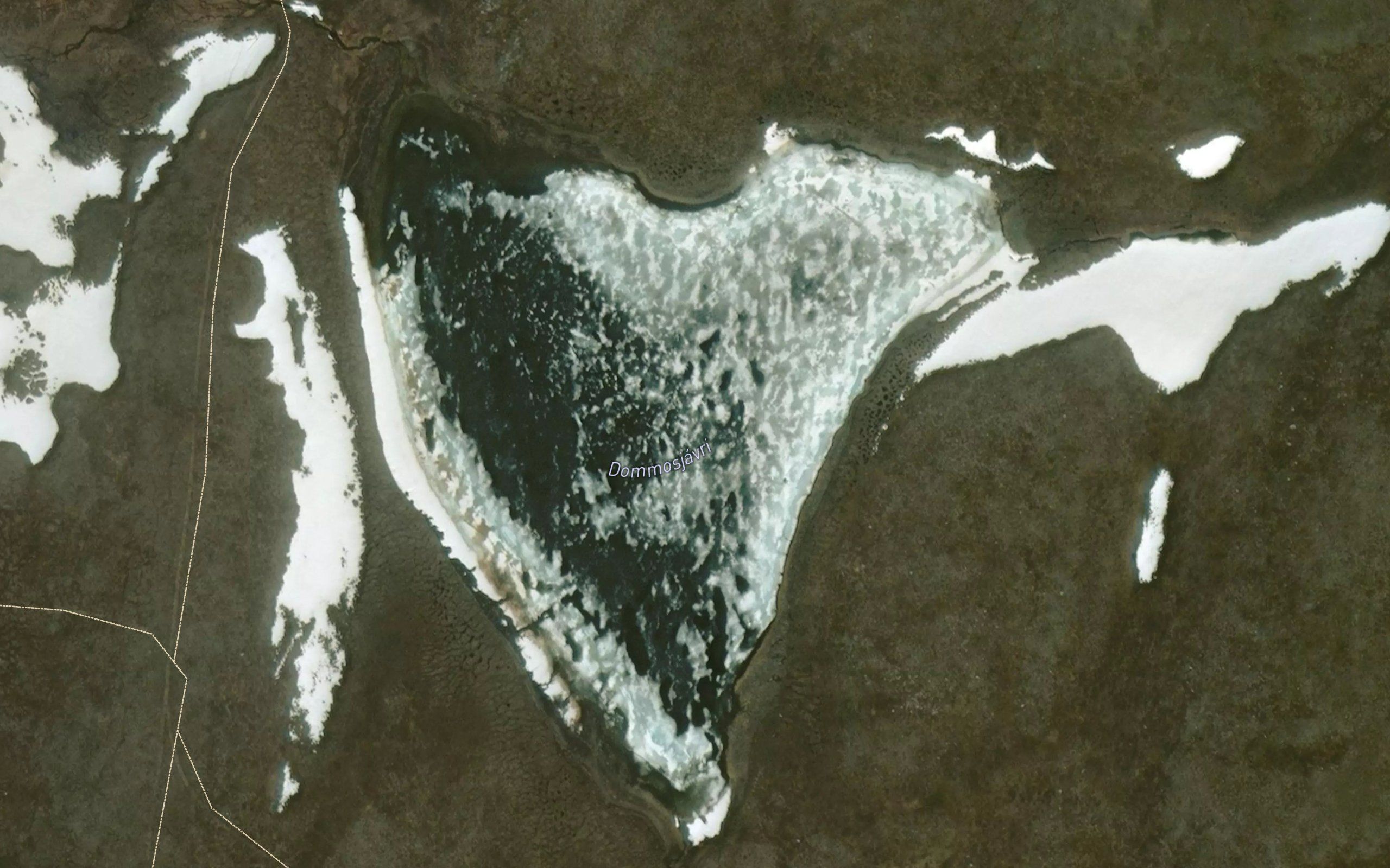 Dammusjavri