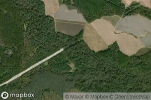 Boggy Creek