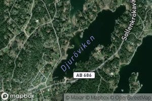 Djuroviken