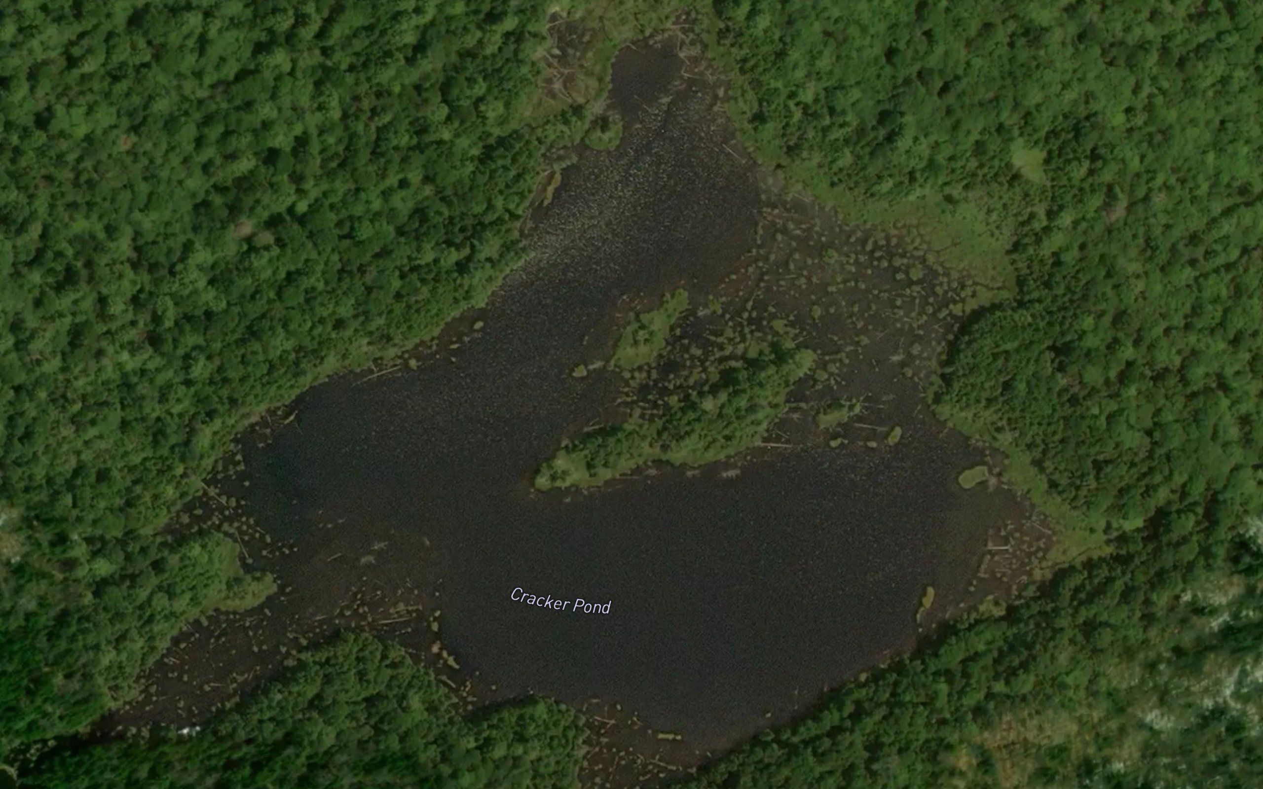 Cracker Pond
