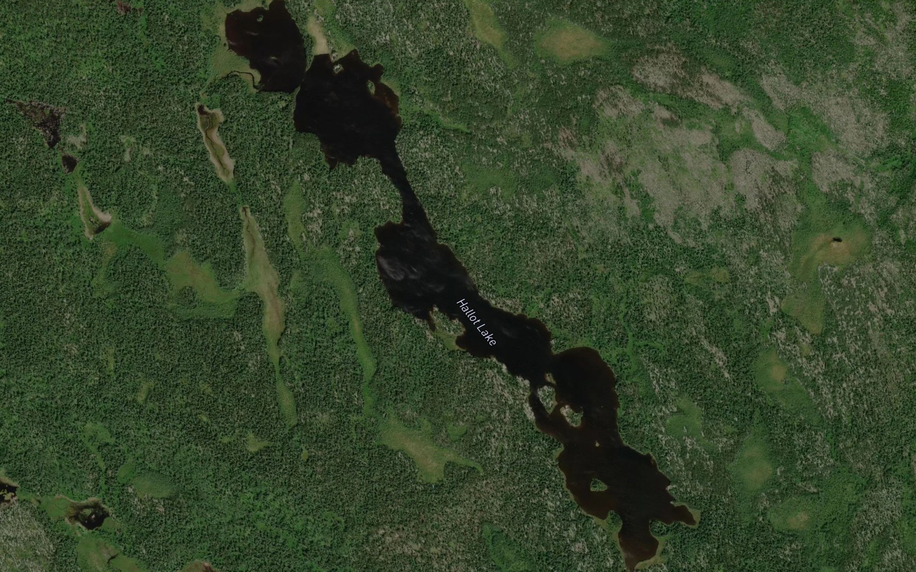 Satellite map of the Hallot Lake