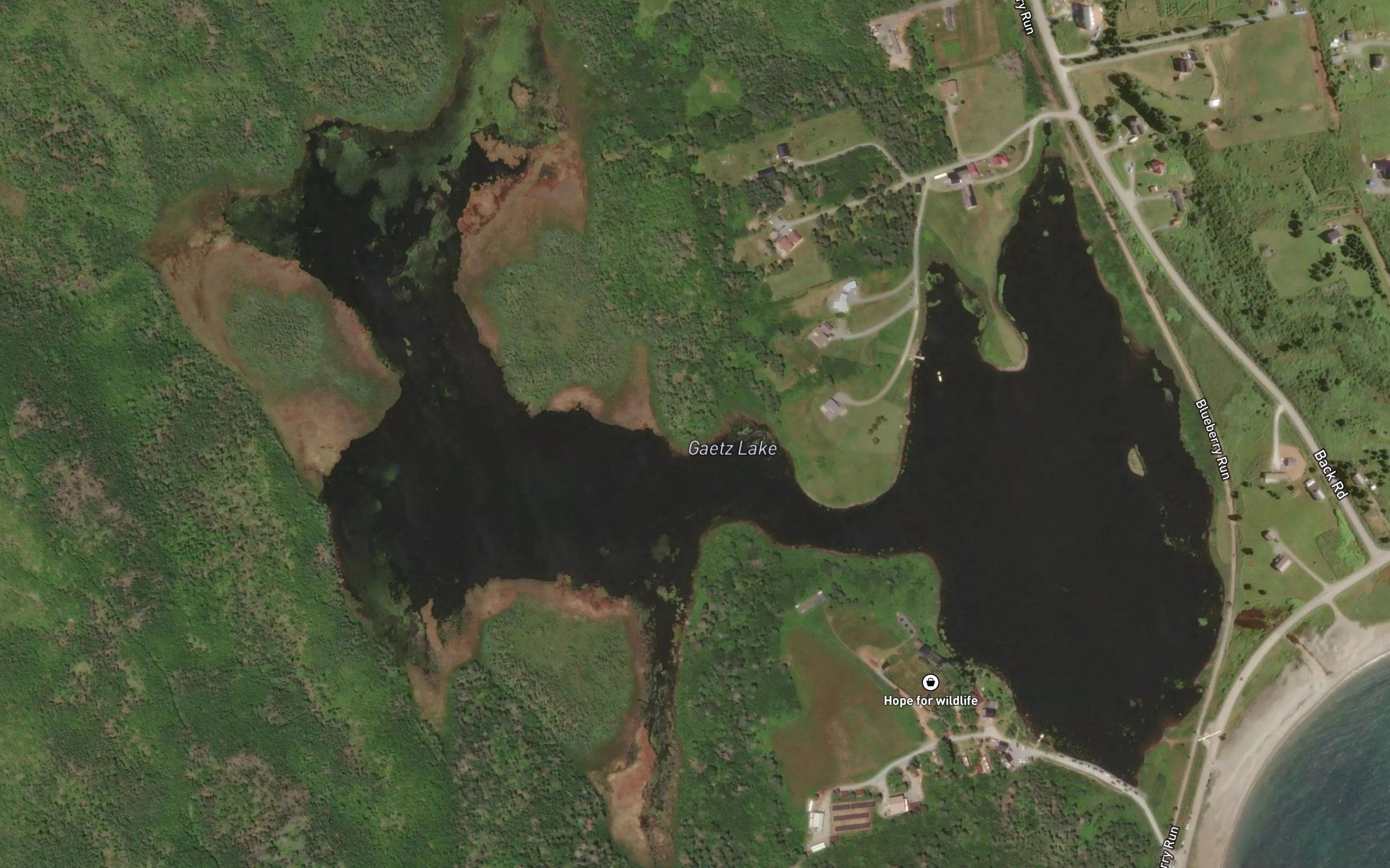 Gaetz Lake