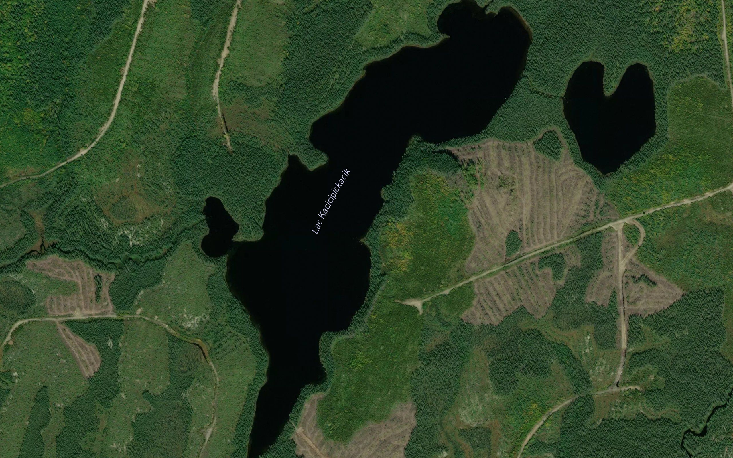 Lac Kacicipickacik