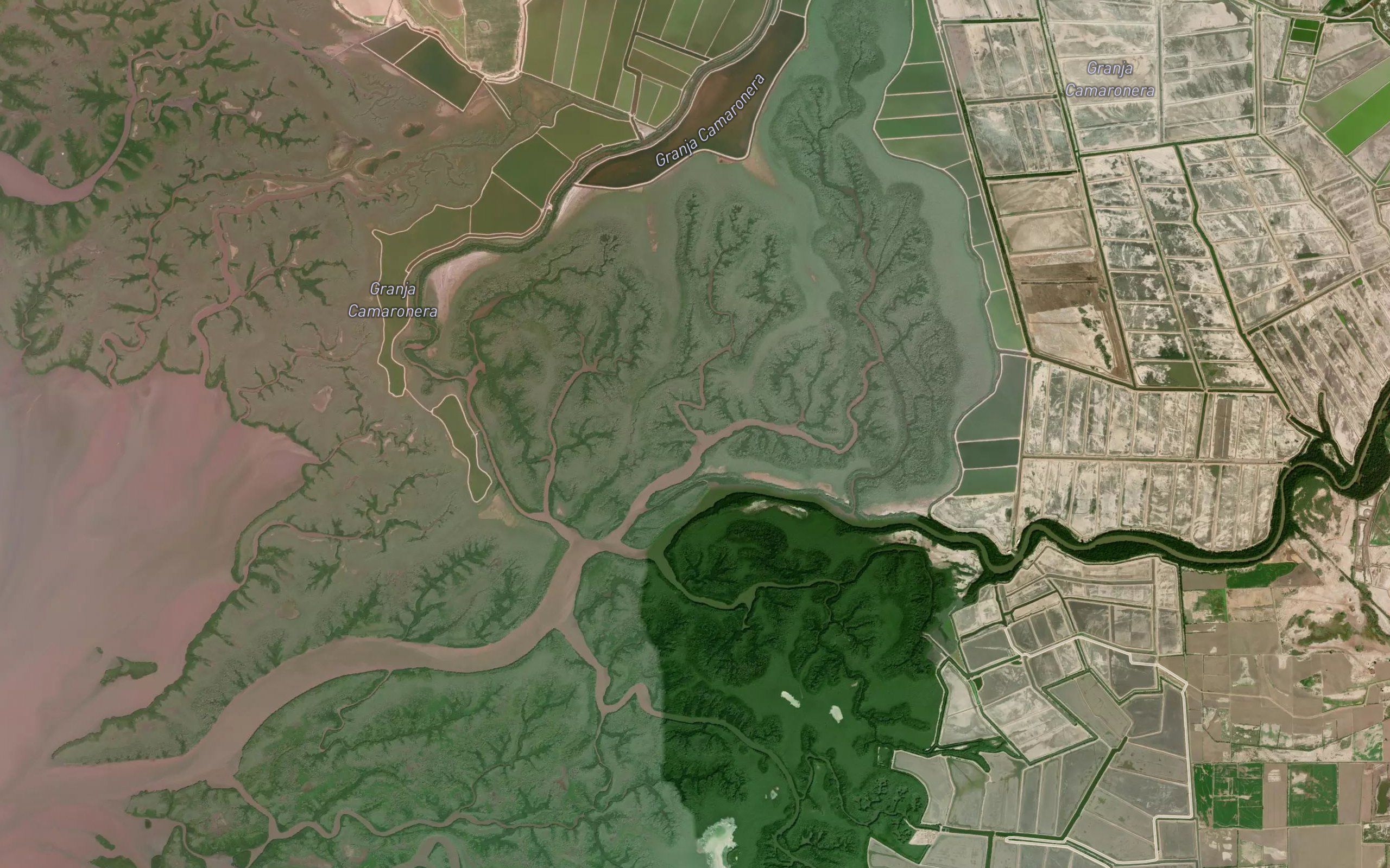 Estero El Parral