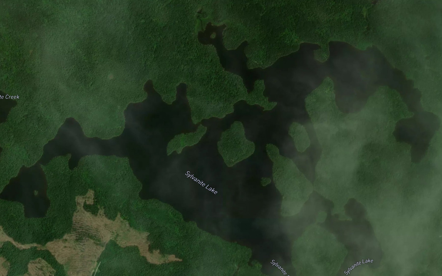 Satellite map of the Sylvanite Lake