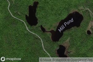 Murrey Pond