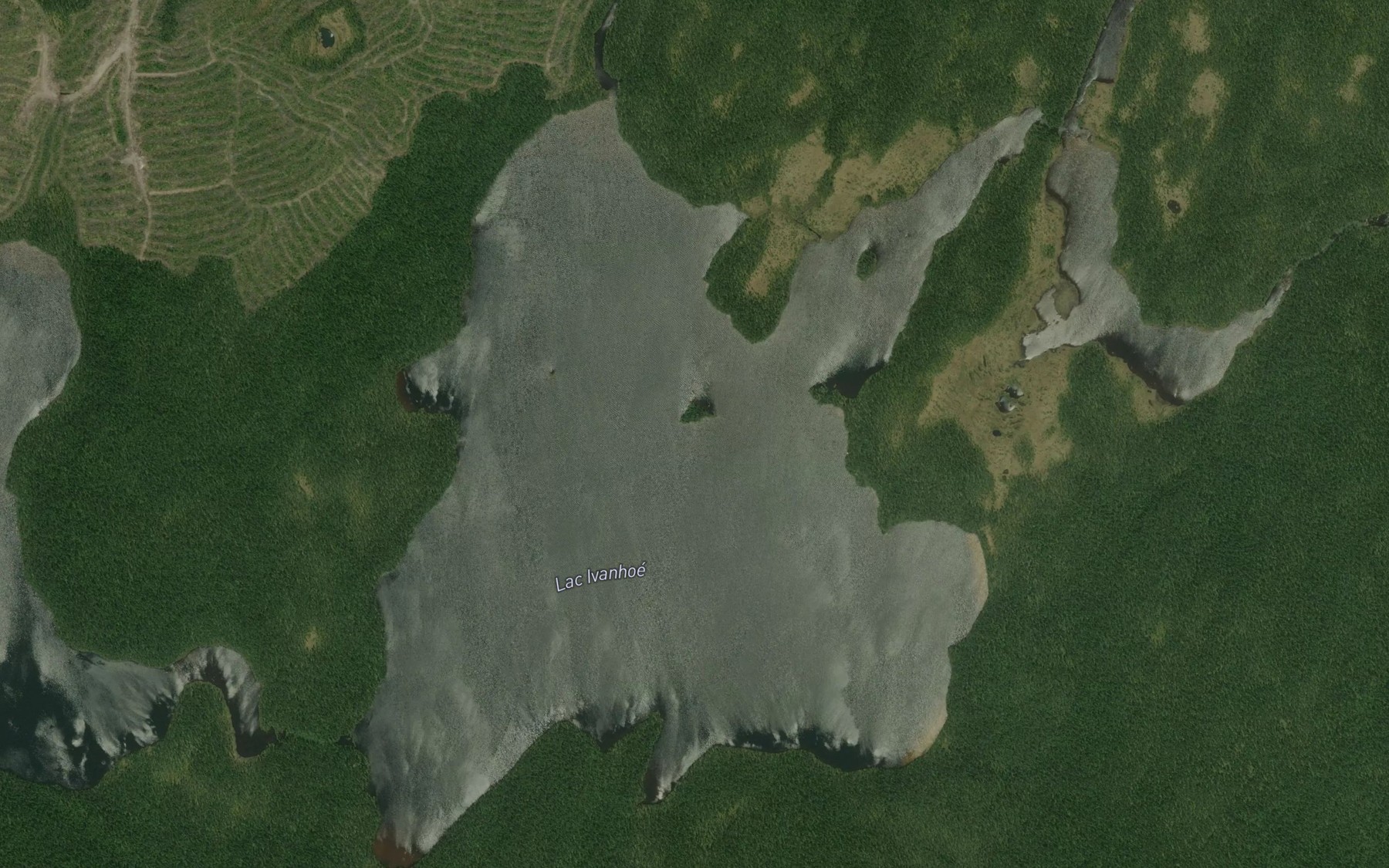 Satellite map of the Lac Ivanhoe