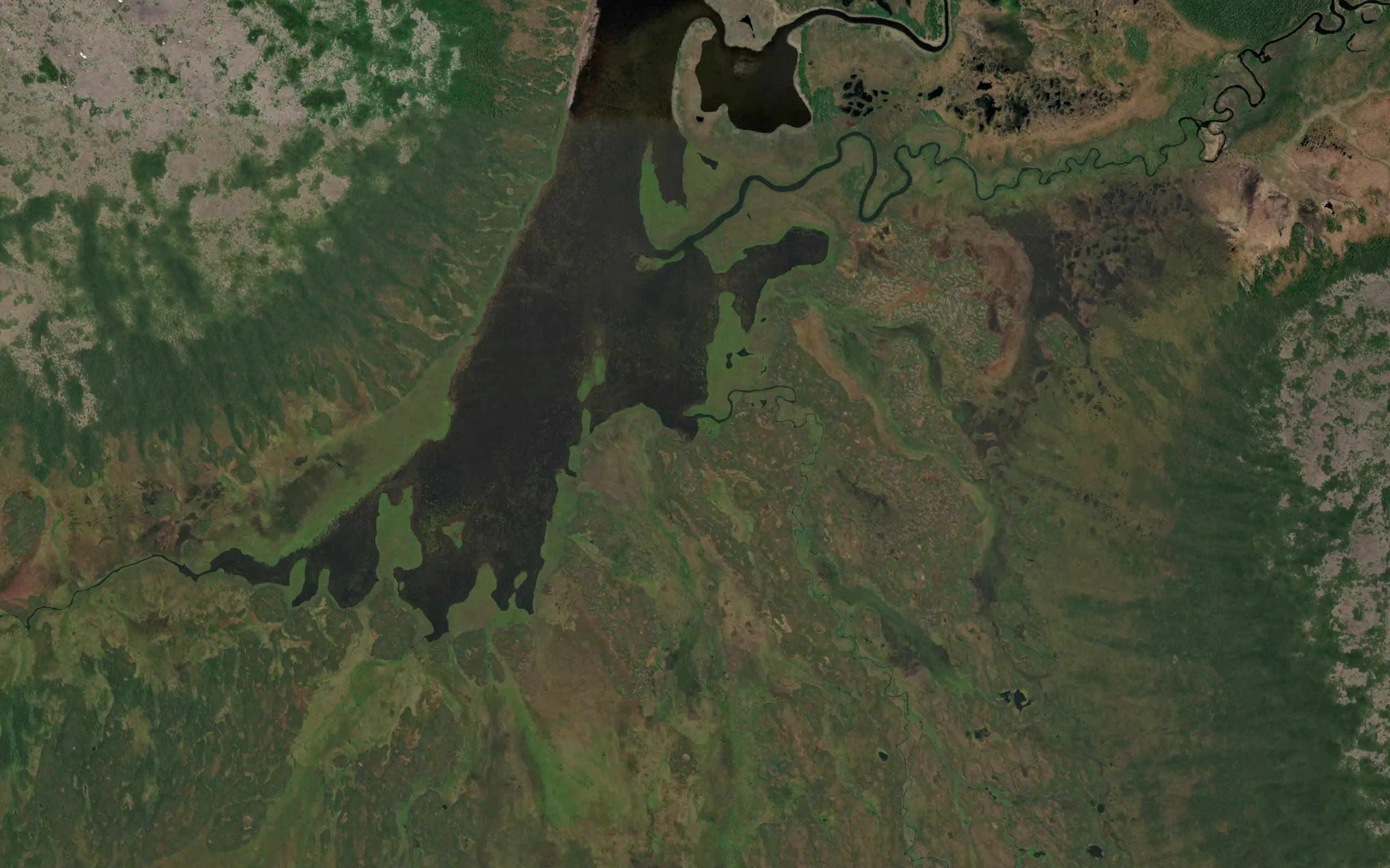 Zhivets