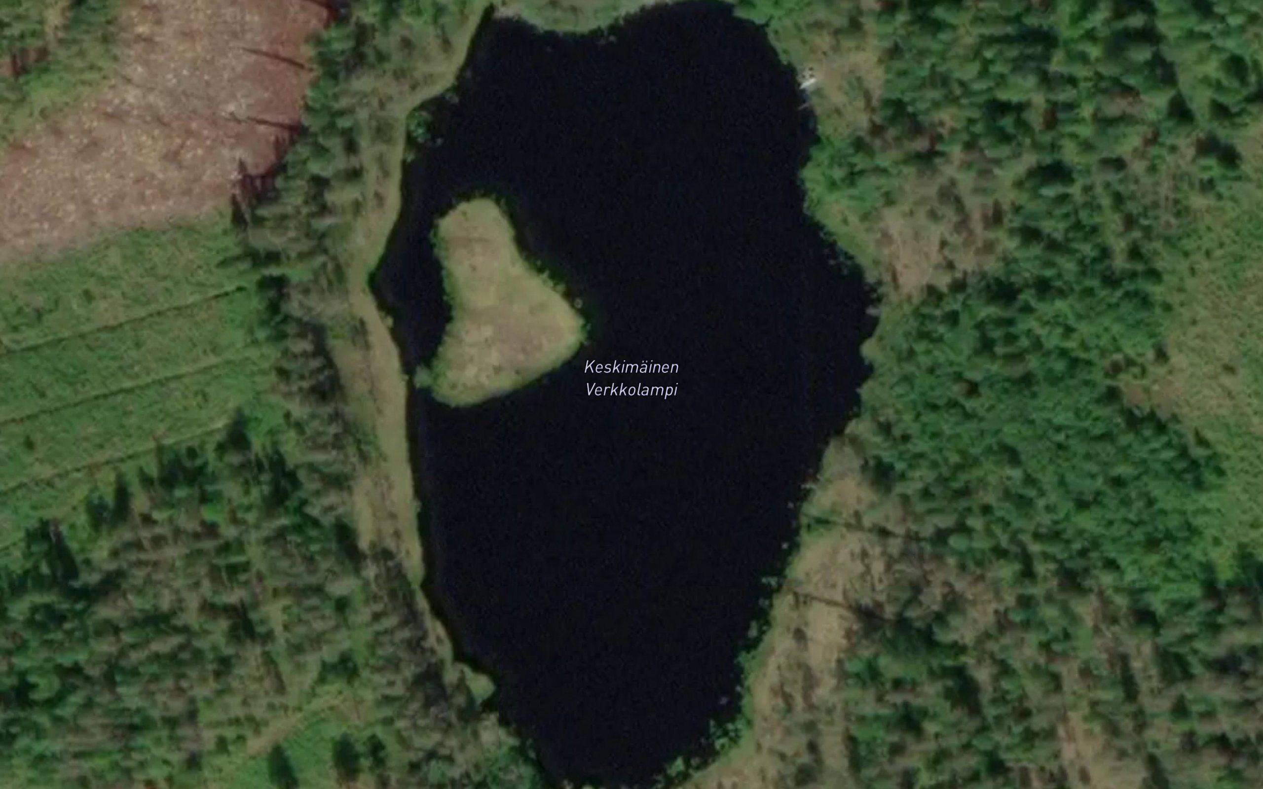 Keskimmainen Verkkolampi