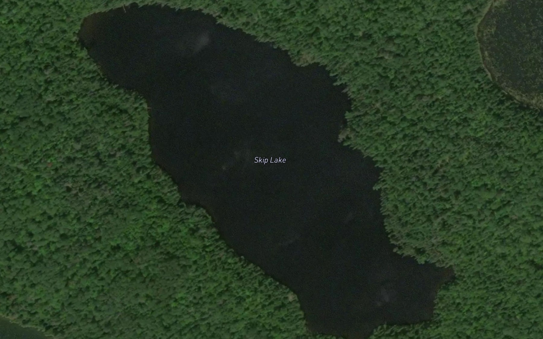 Satellite map of the Skip Lake