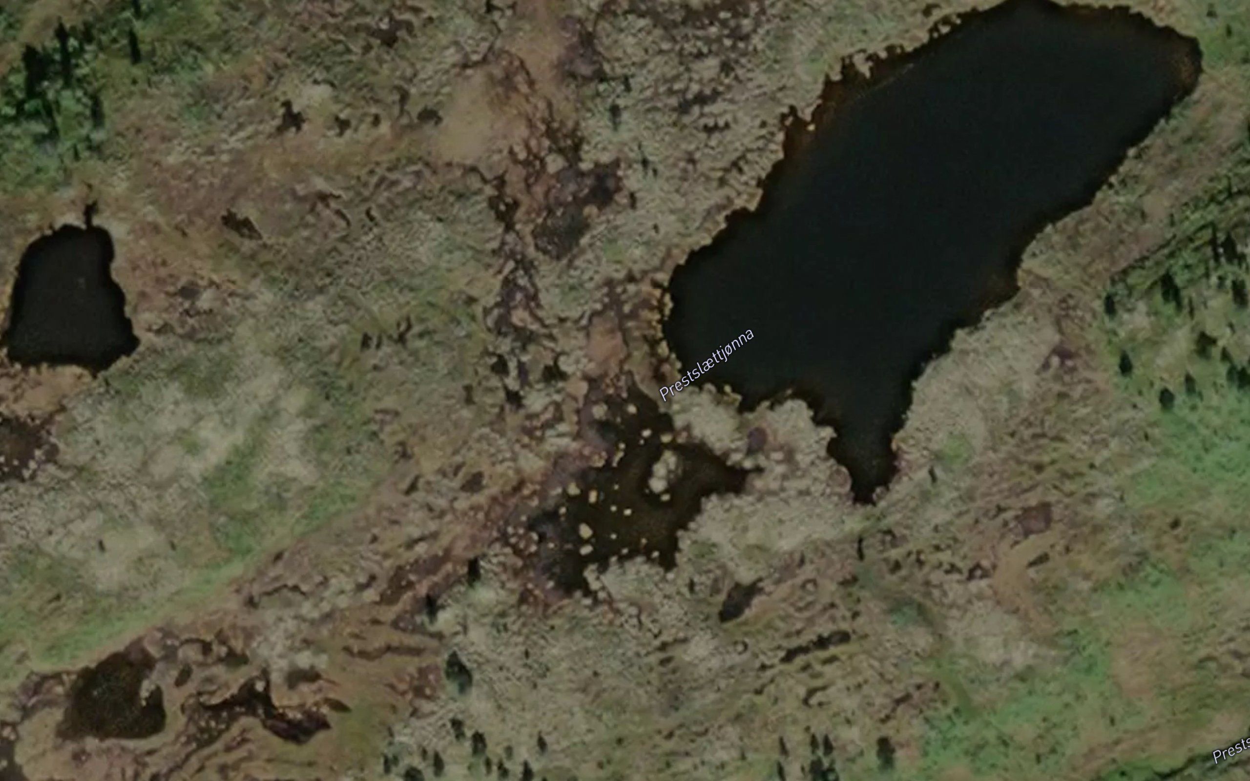 Prestslaett tjorna