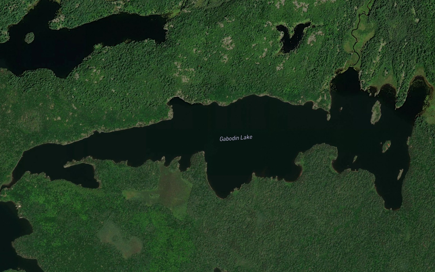 Satellite map of the Gabodin Lake