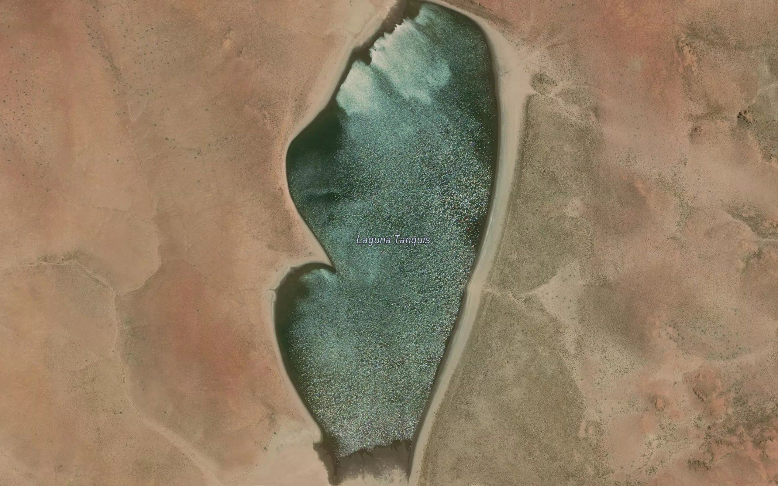 Lagunas Tanquis