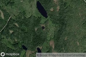 Det utgravde tjennet