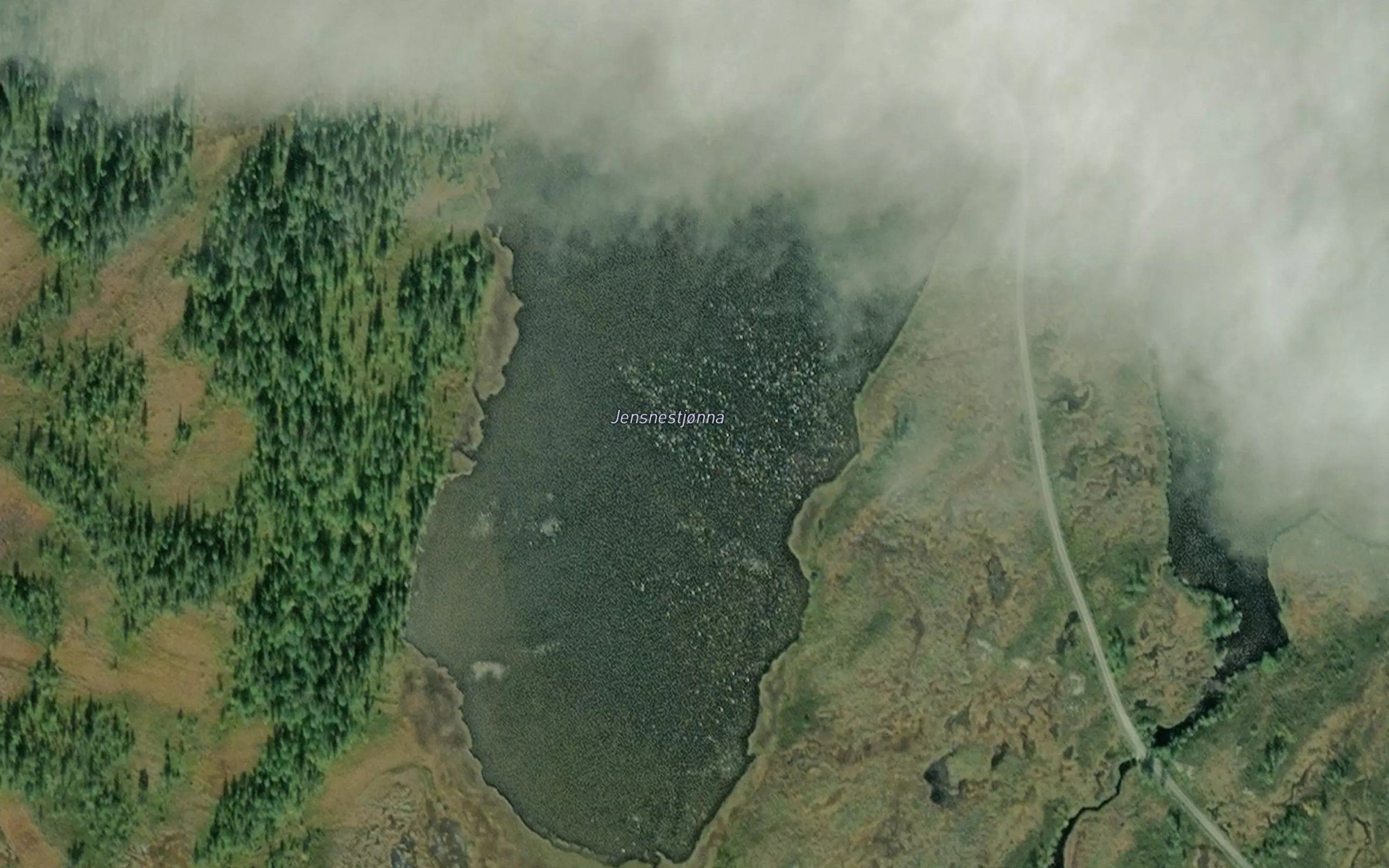 Jensnestjorna