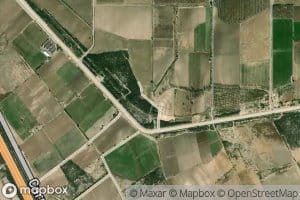 Canal Treinta y Nueve