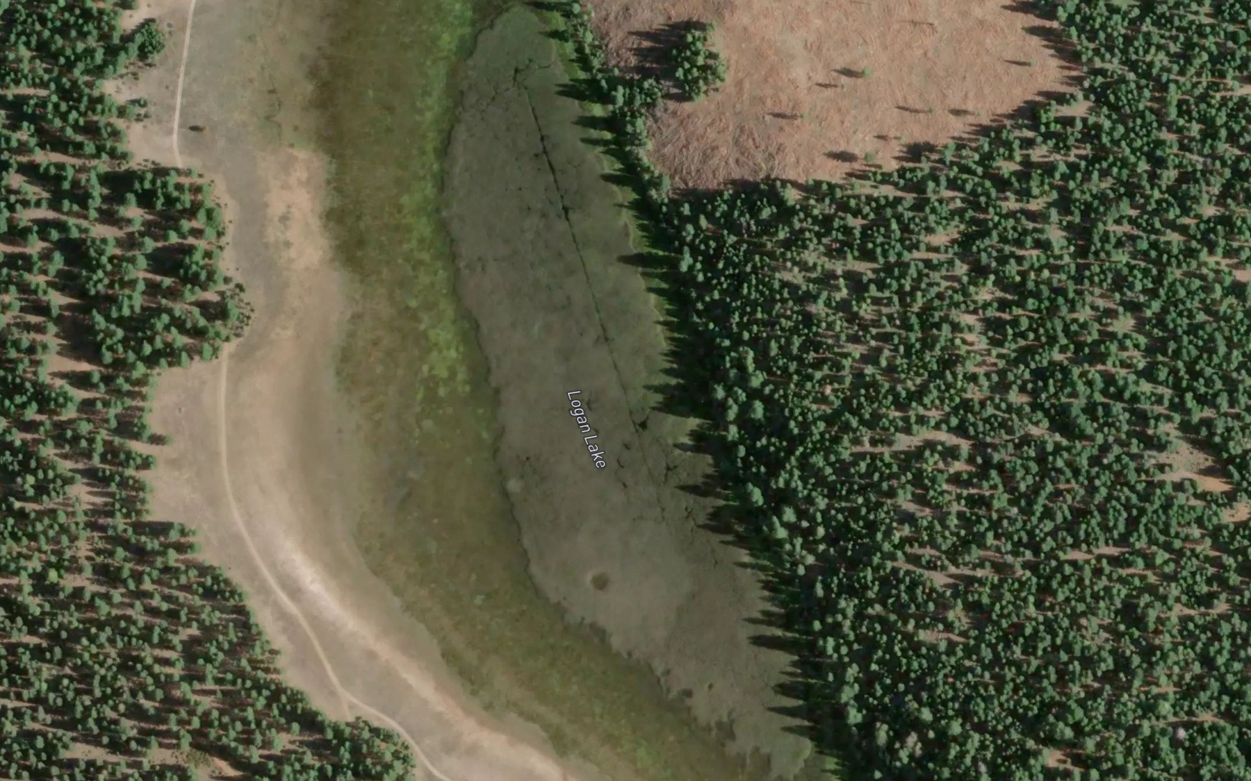 Satellite map of the Logan Lake