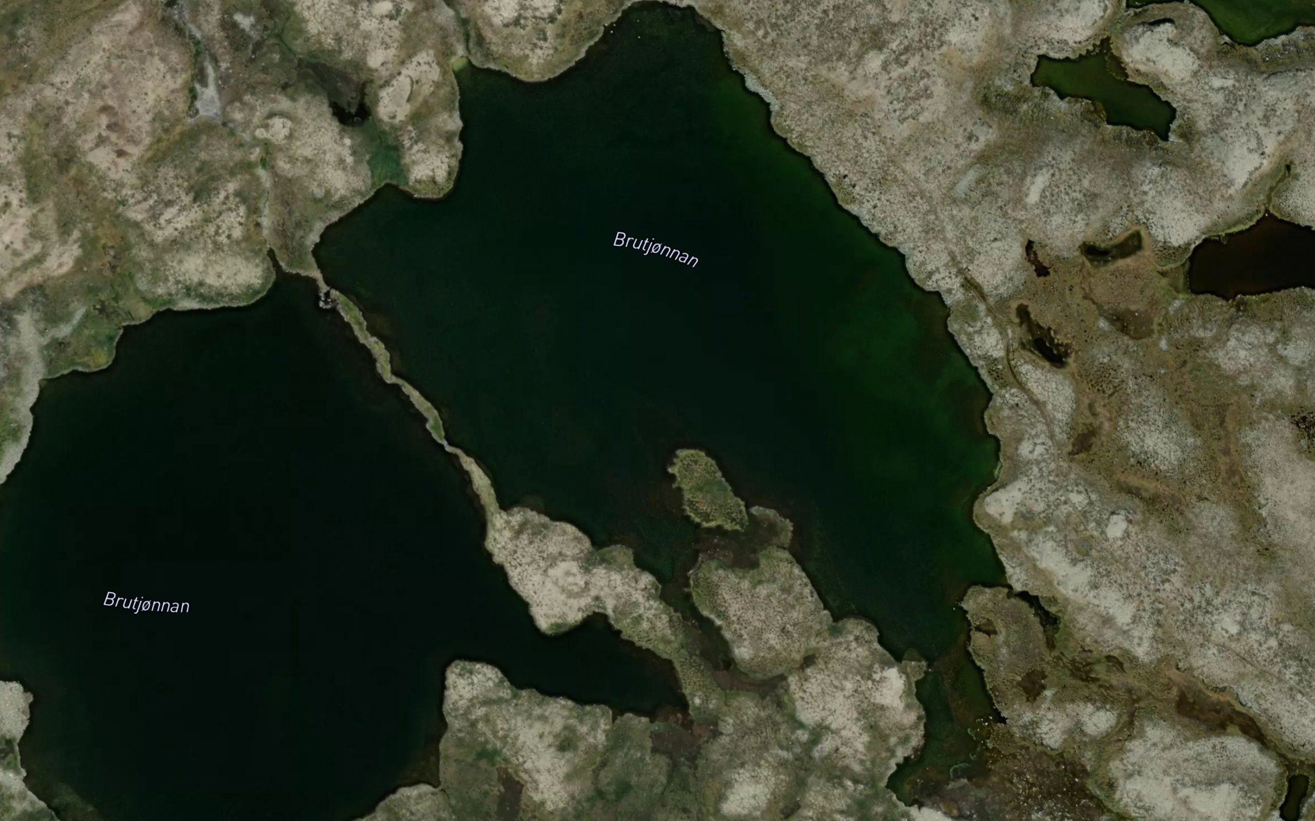 Brutjornan