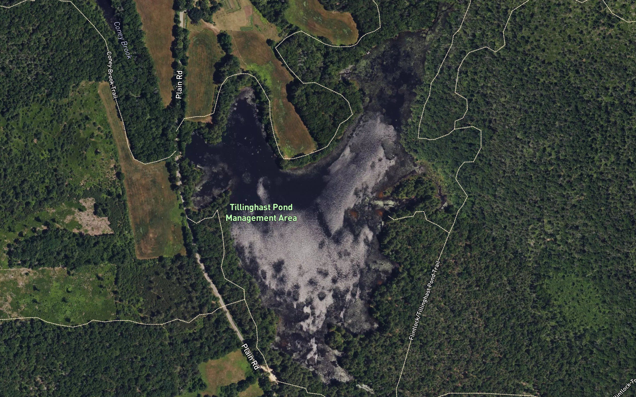 Tillinghast Pond