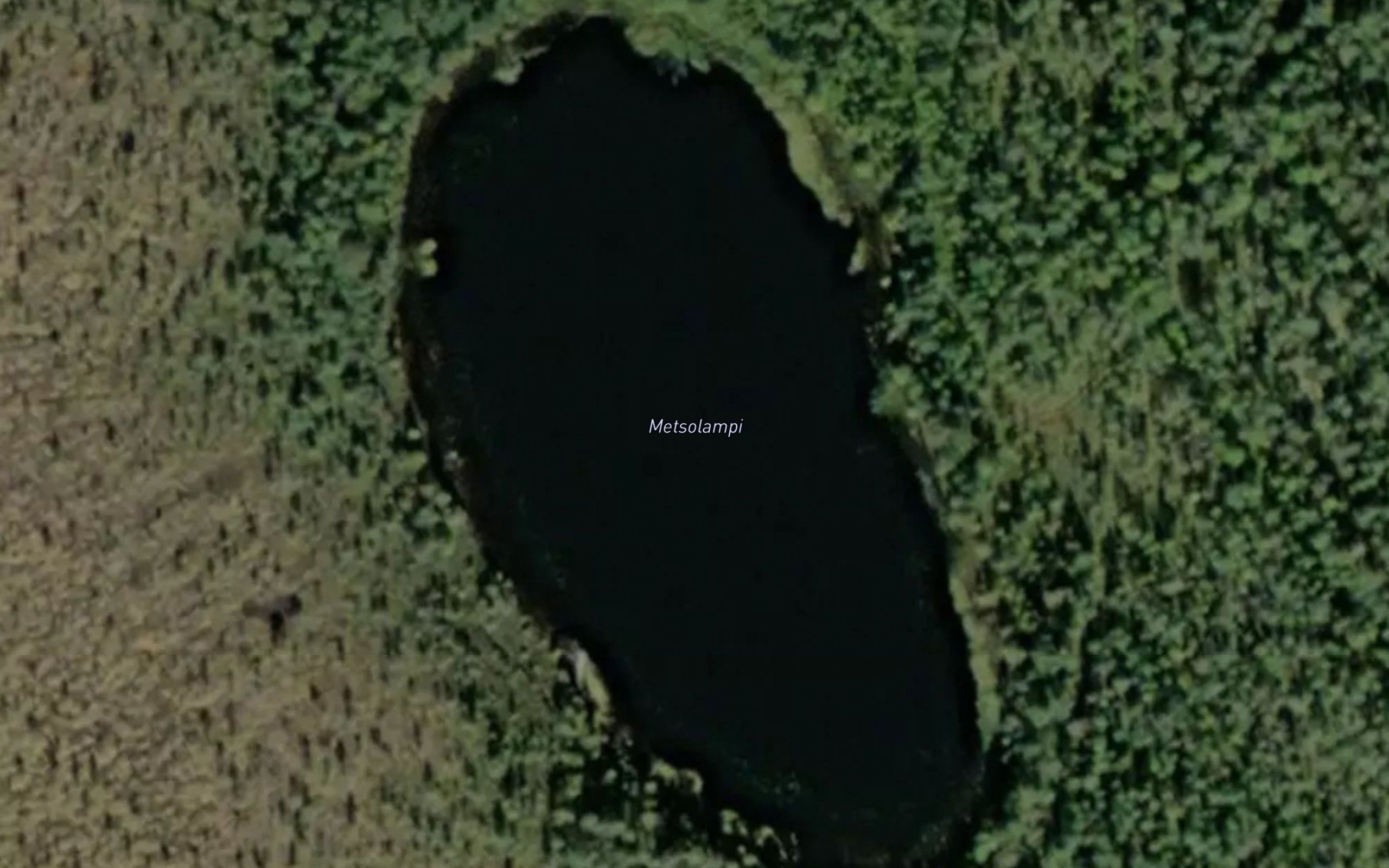 Metsolampi