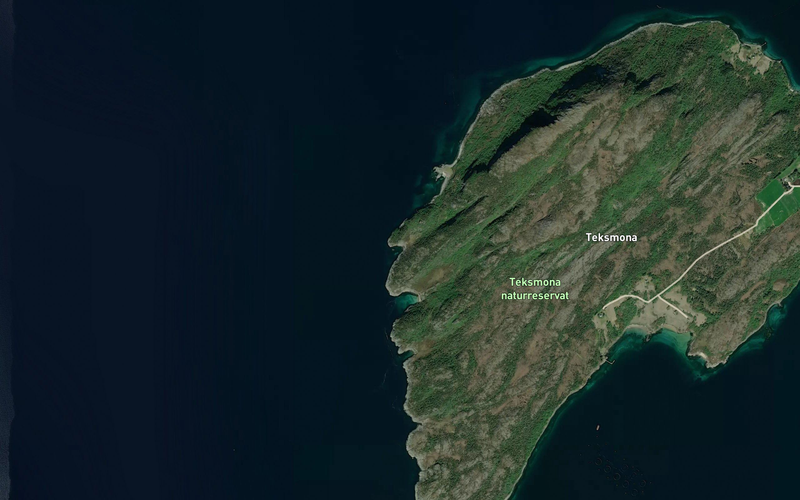 Skarvvika