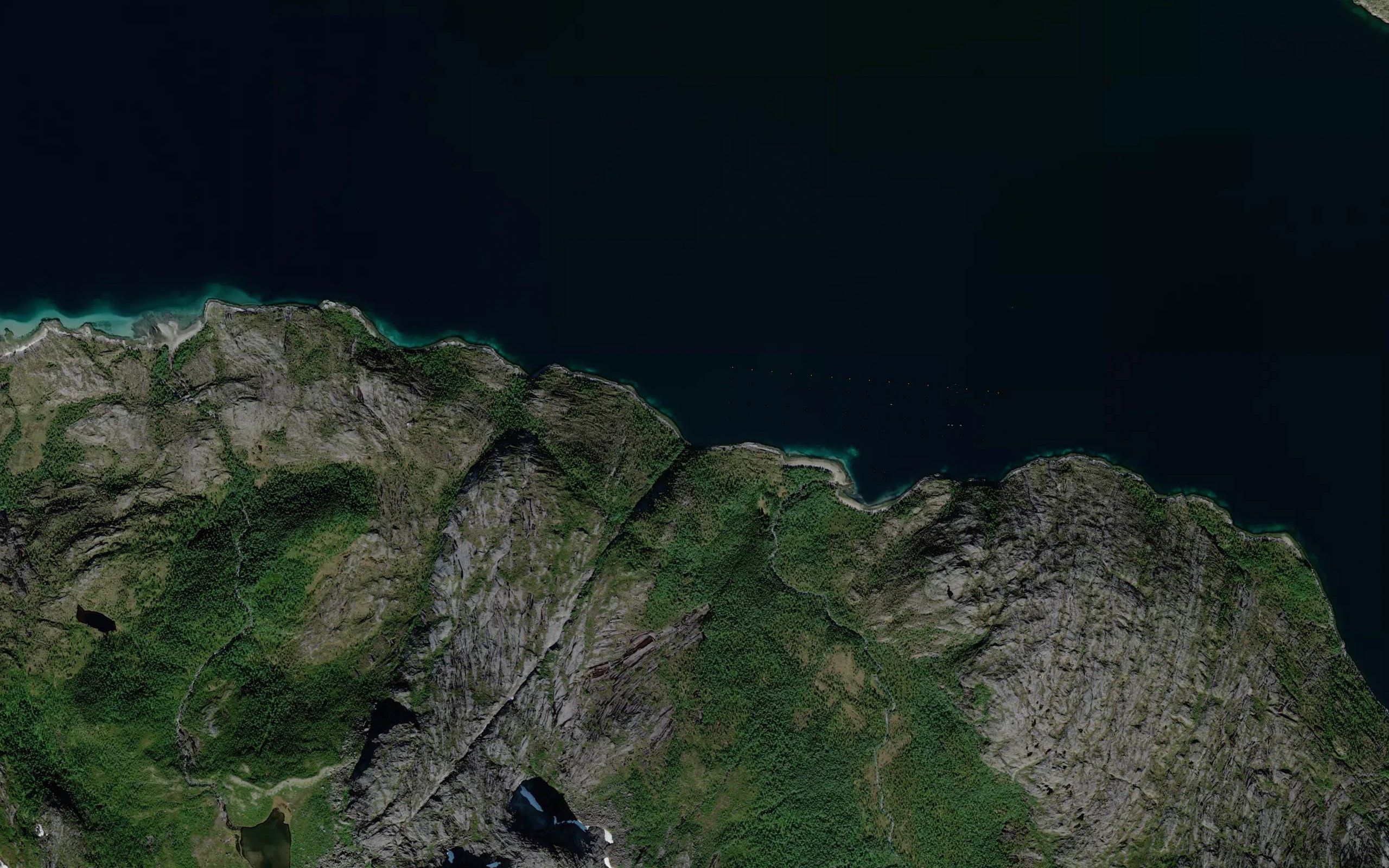 Nautvika