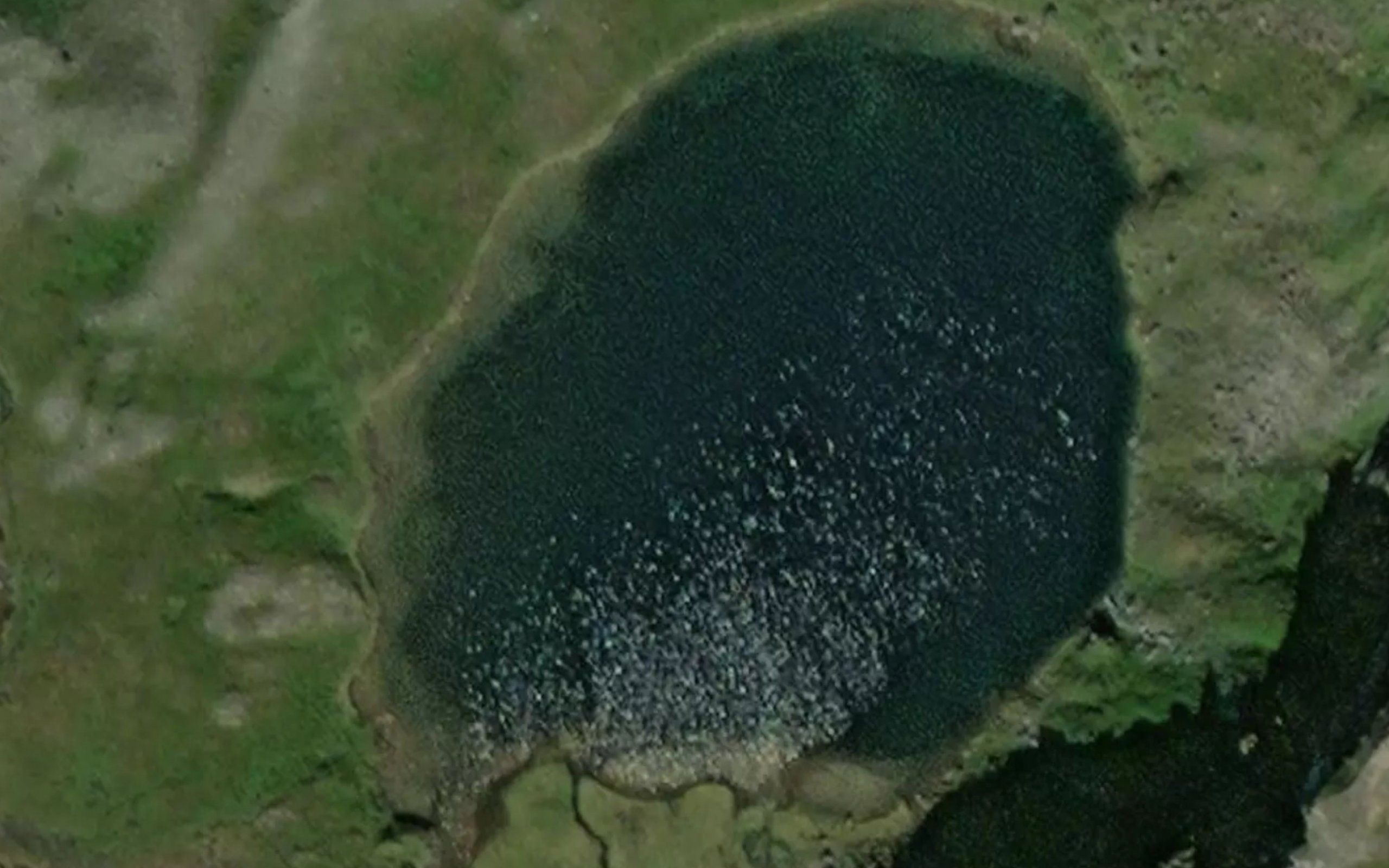 Holavatnet