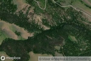 North Fork Bonanza Creek