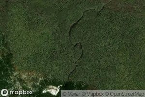 Walter Coon Brook