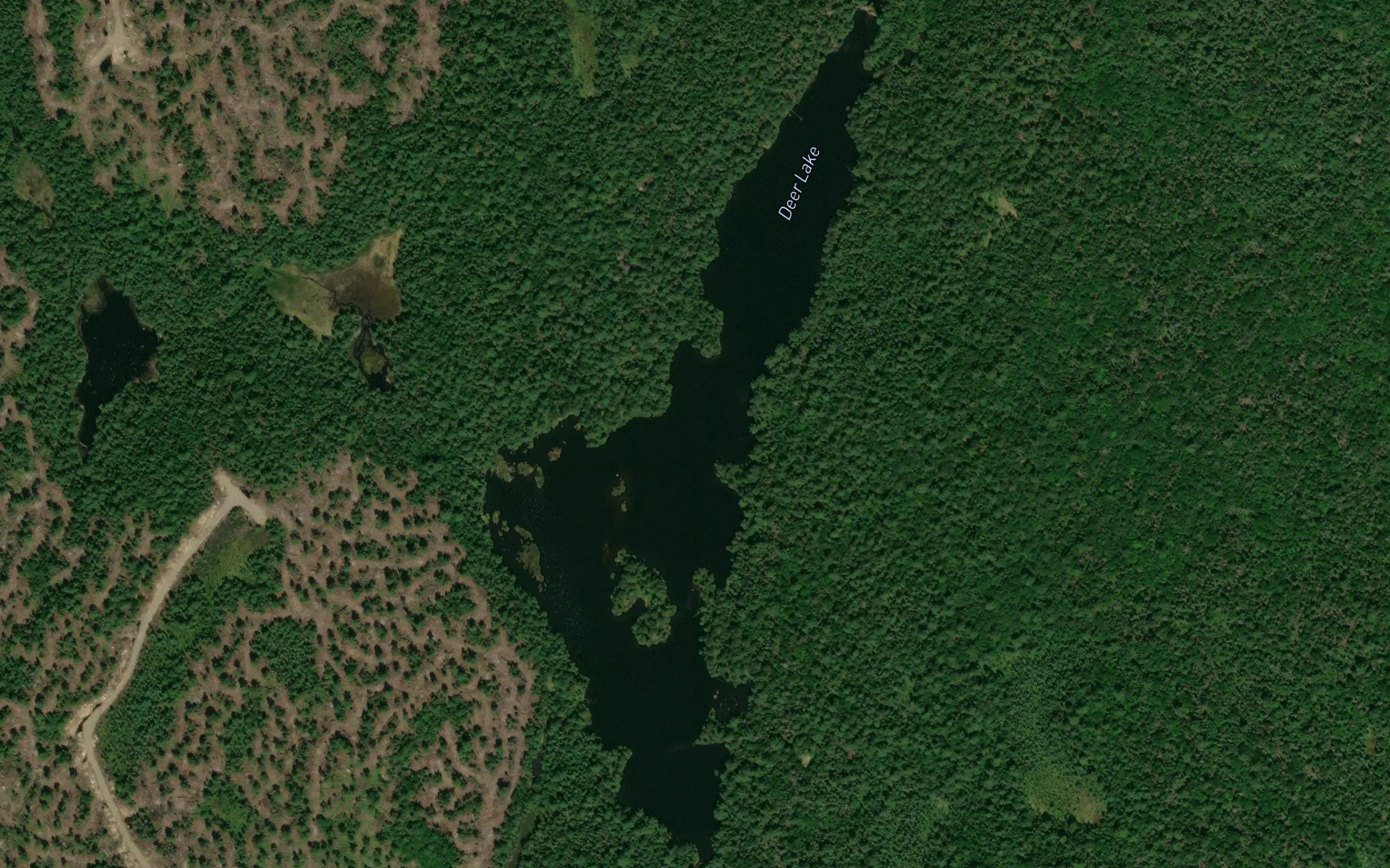 Deer Lake