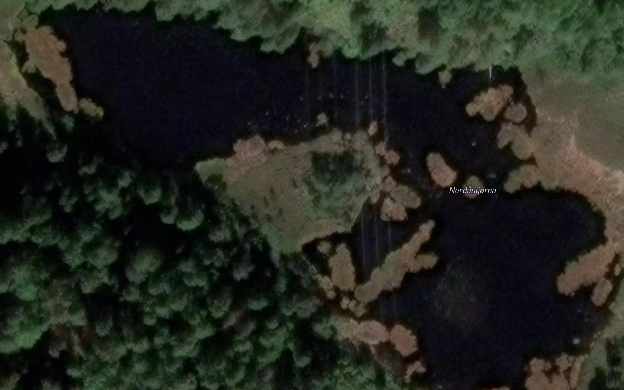 Nordastjorna