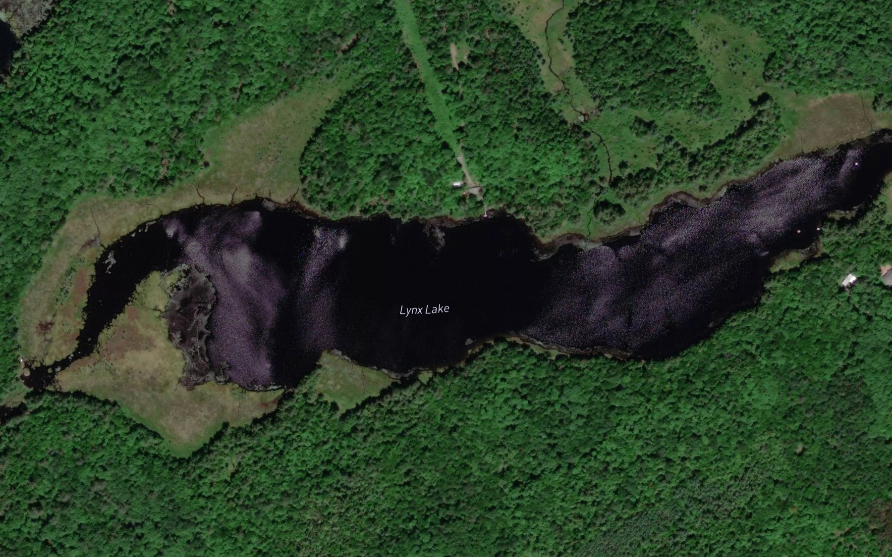 Satellite map of the Lynx Lake