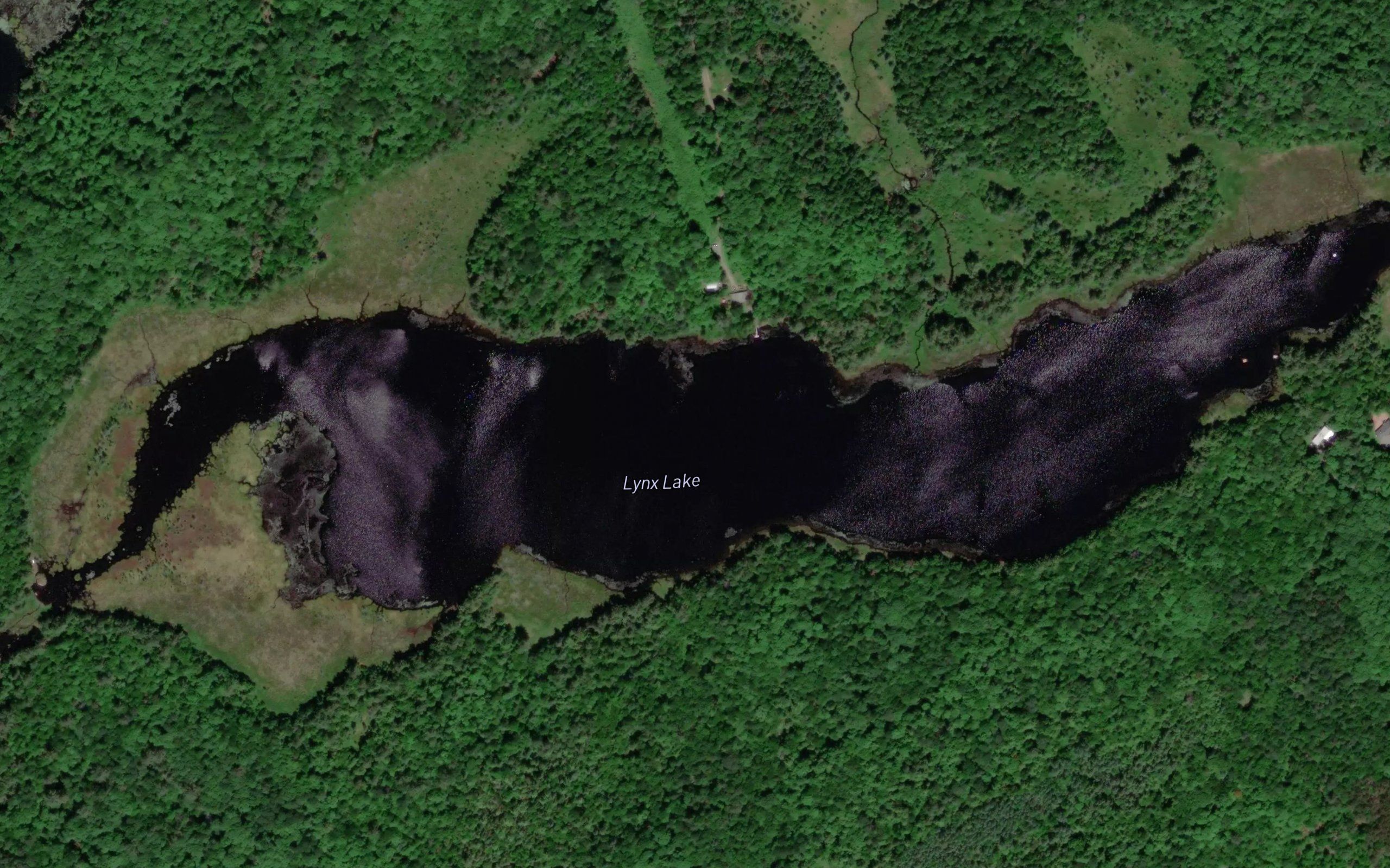 Lynx Lake