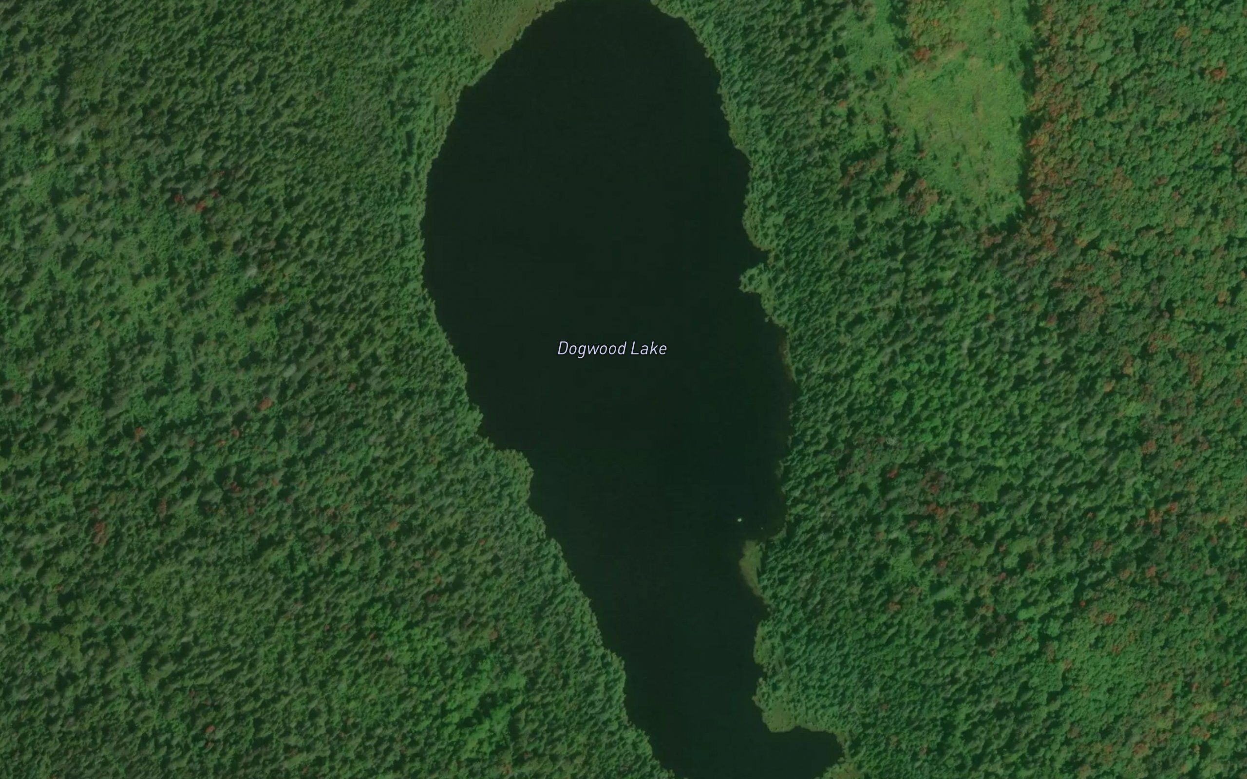 Dogwood Lake