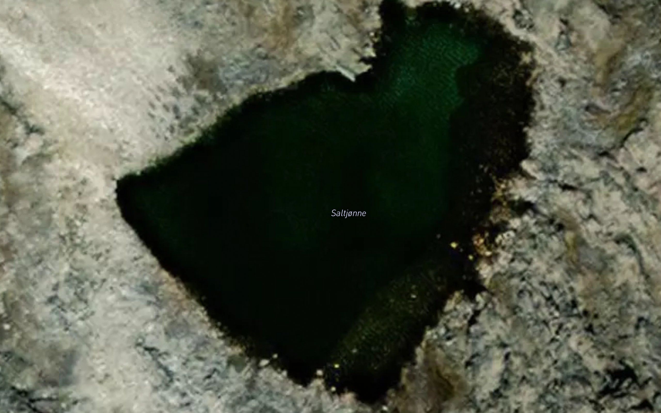 Saltjorni