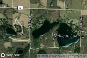 Little Nelligan Lake