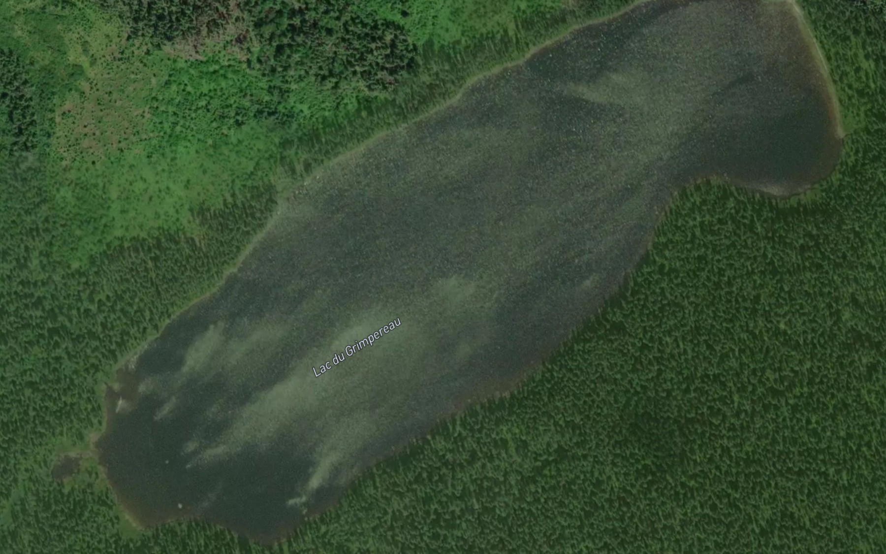 Satellite map of the Lac du Grimpereau