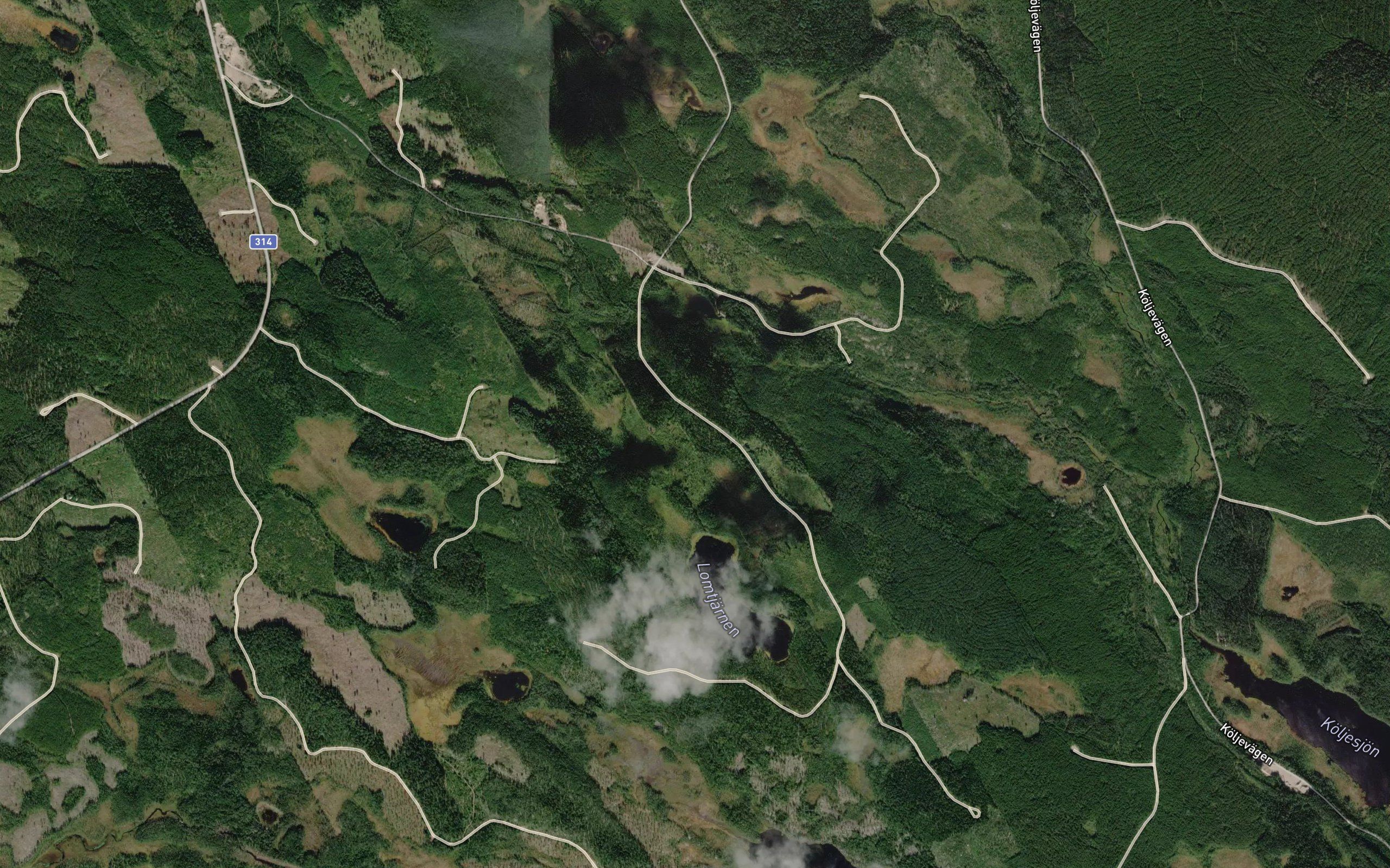 Lomtjarn