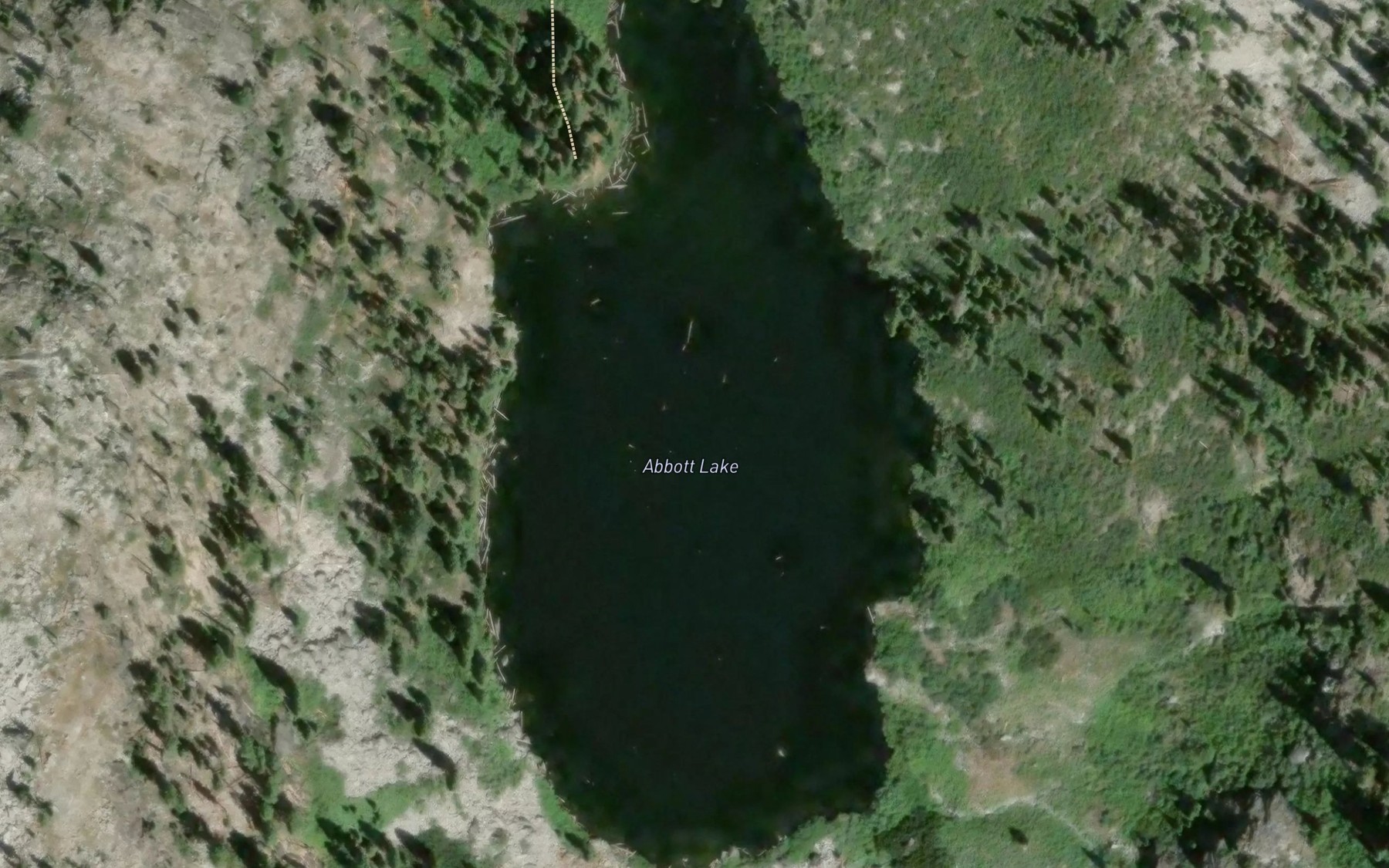 Satellite map of the Abbott Lake