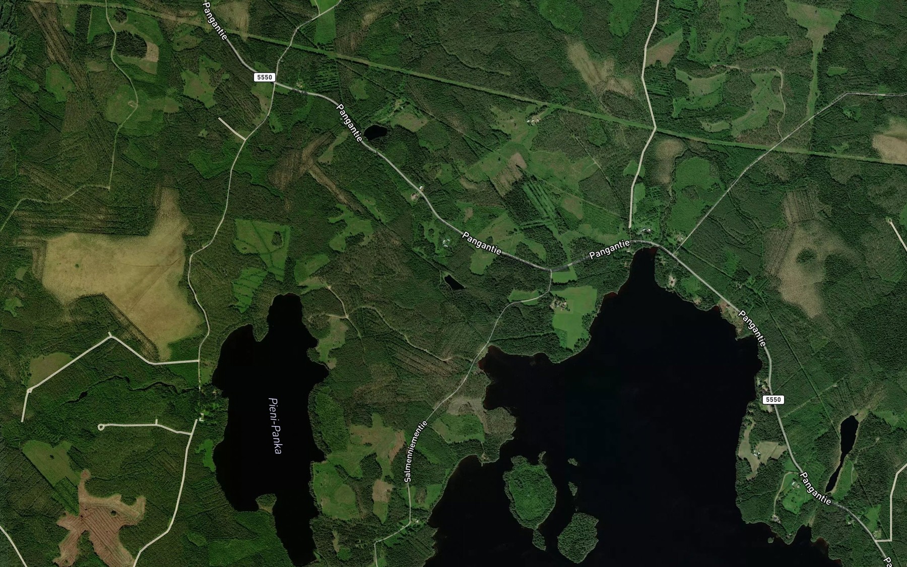 Satellite map of the Luodelampi