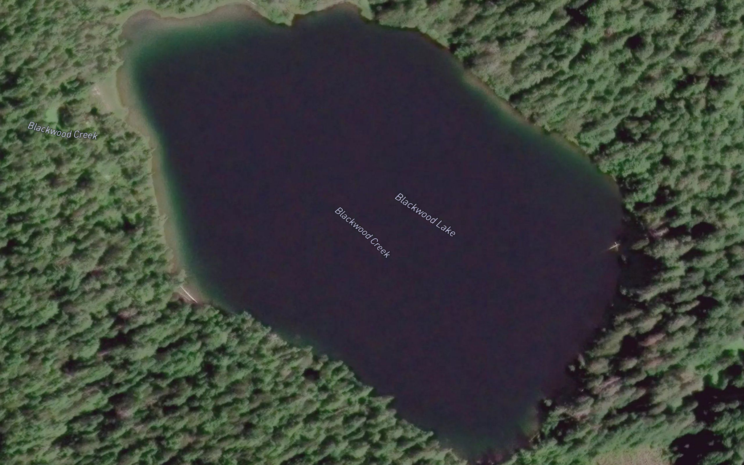 Blackwood Lake