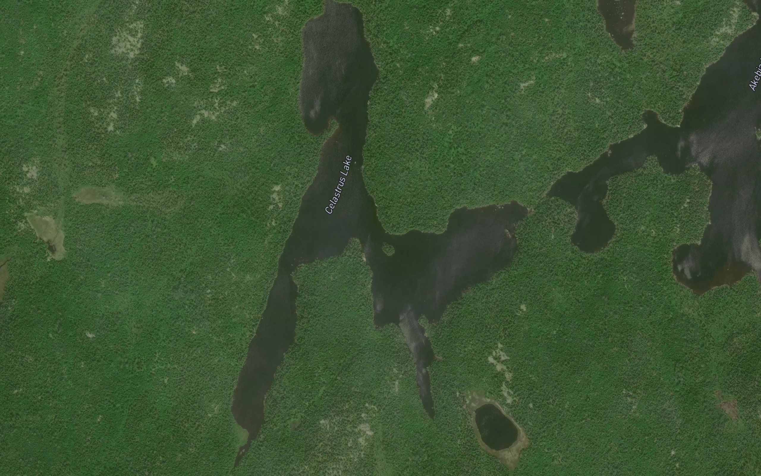 Celastrus Lake