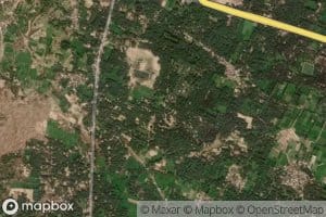 Bamhanpur Minor